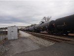 CTCX 731350